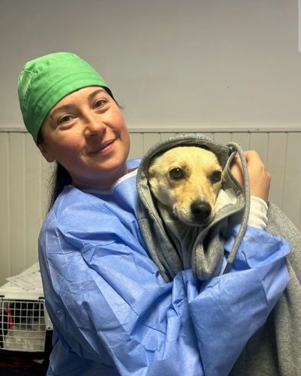 Andra Fecioru, medic veterinar